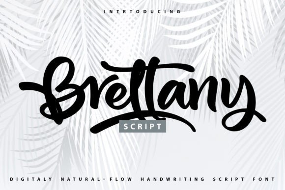 Brettany Font for Web Design Projects