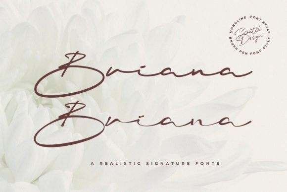 Briana: The Script Font That Elevates Your Brand's Visual Story