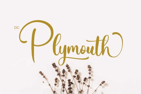 Bringing Romance to Life with the Plymouth Typeface
