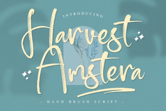 Harvest Amstera: A Refined Script Font for Branding