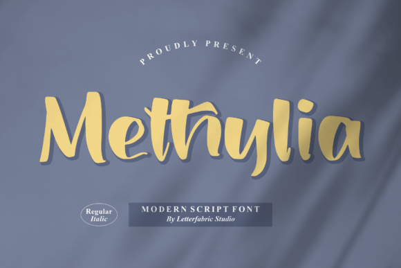 Methylia: A Designer's Honest Review for Real Projects