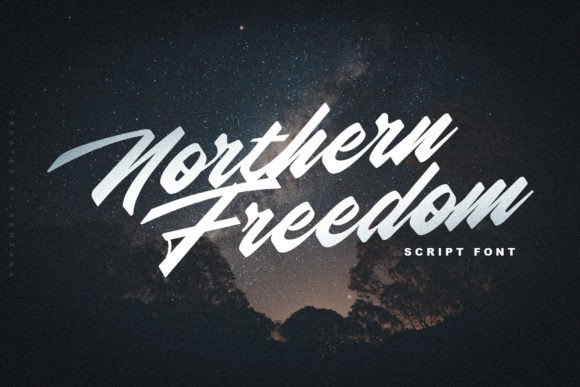 Northern Freedom: The Modern Script Font for Polished Web Design